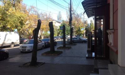 Прикрепленное изображение: 1.jpg